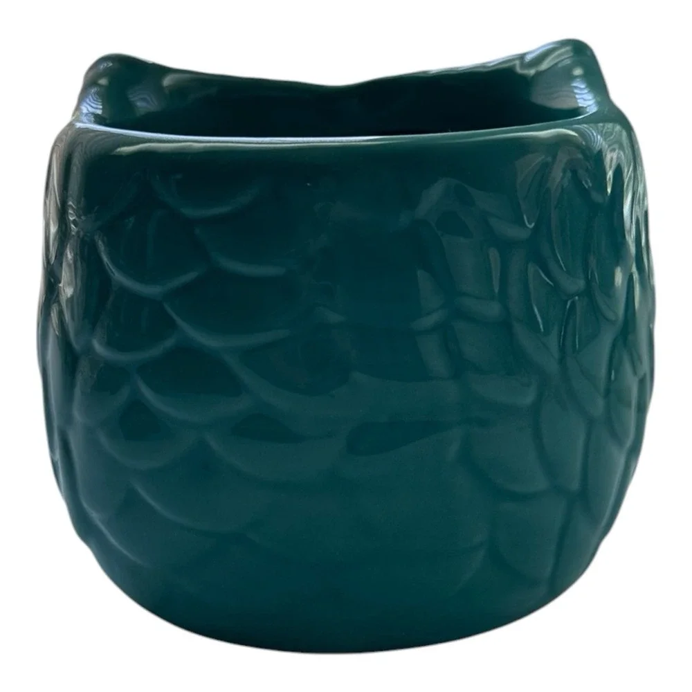 Ceramic  Owl Teal Turquoise Glazed  Cachepot Succulent Flower Pot Home Decor 4